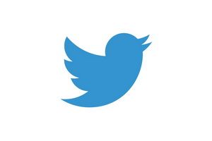 Twitter logo 300200